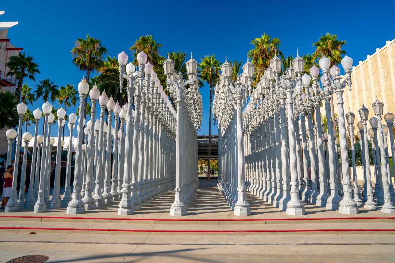 Los Angeles County Museum of Art Outdoor Exhibit