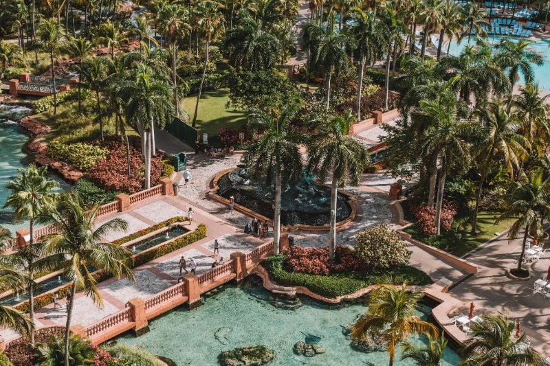Aerial Photo of Nassau, Bahamas Palm Trees