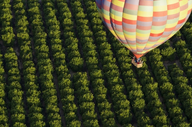 Hot air balloon over a winery in Temecula Valley
