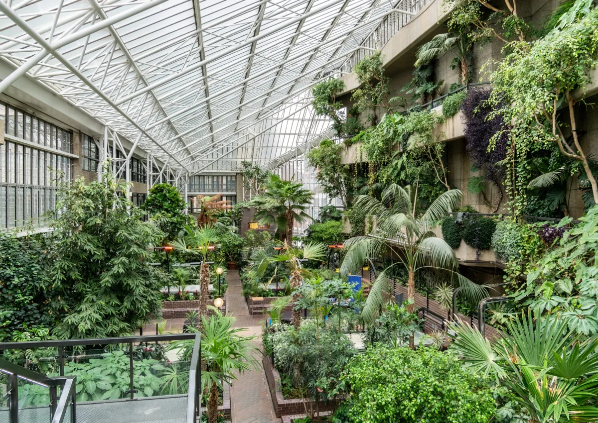 The Barbican Conservatory in London, with sunlight and plenty of green plants.