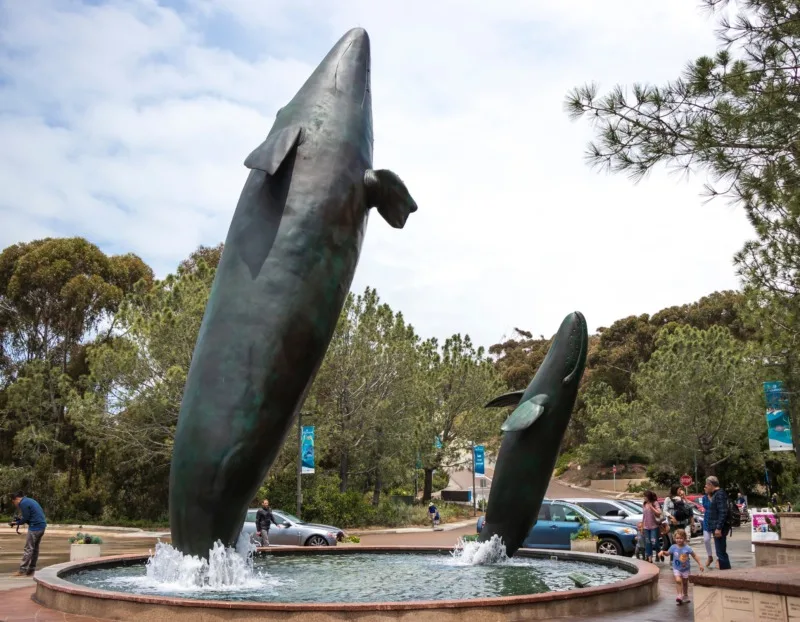 Mama and baby whale statues at Birch Aquarium at Scripps Institutution of Oceanography
