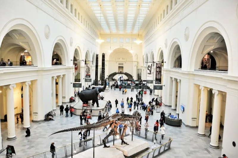 The interior of the Field Museum