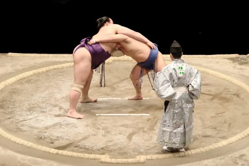 Sumo Wrestling Fight